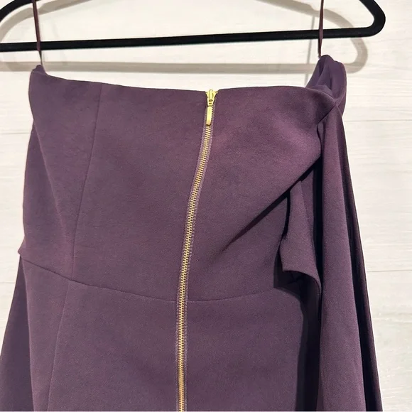 Misha Collection Strapless Dress Size 10 MSRP $340